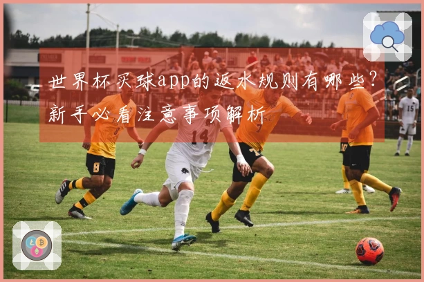 世界杯买球app的返水规则有哪些？新手必看注意事项解析